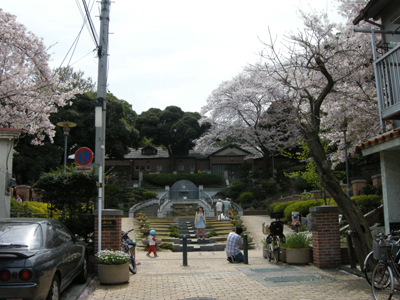 DSCN3692