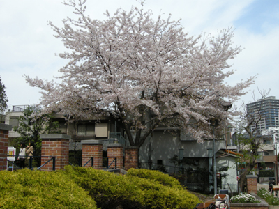 DSCN3697